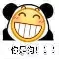 熊猫笑脸：你是狗表情图片