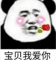 熊猫刁一朵花：宝贝我爱你表情图片