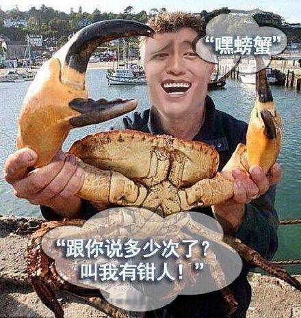 嘿 螃蟹 （跟你说多少次了？我是有钳人）表情图片
